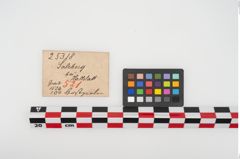 Etikett zu Perlenkette (NHMW-PRAE-025318)